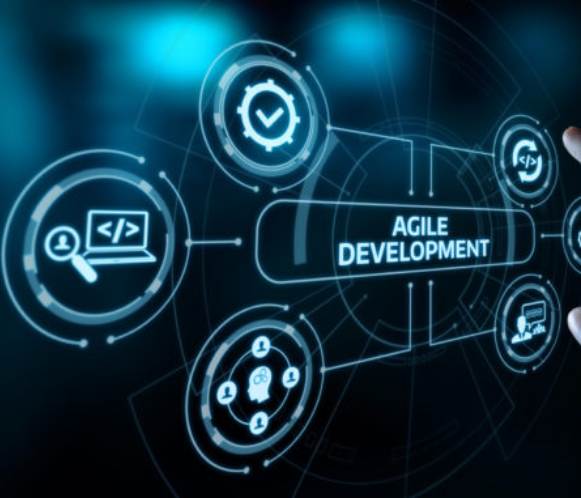 The Realm of Software Solutions 